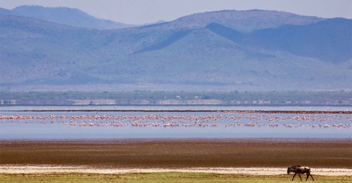 Национальный Парк озеро Маньяра, Танзания