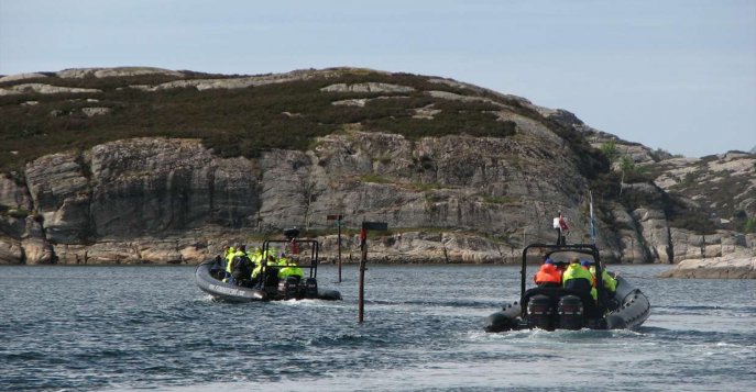 Сафари по фьорду на скоростных лодках (RIB-boats) Тромсё, Норвегия