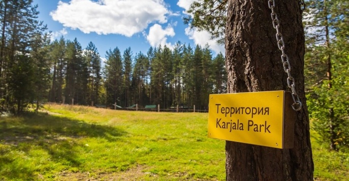 Тур в Карелию для дружной компании