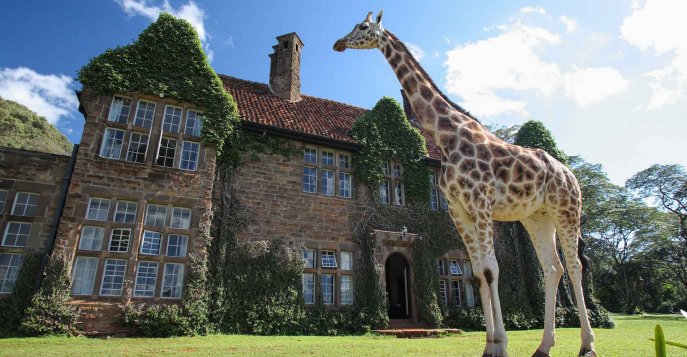 Бутик-отель Giraffe Manor 5* - Найроби, Кения 
