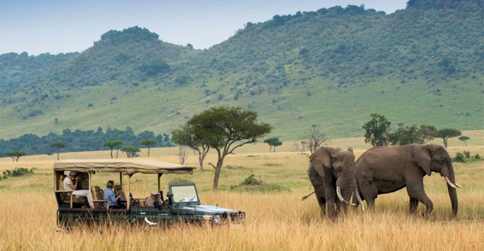 Национальный парк Масаи Мара, Кения