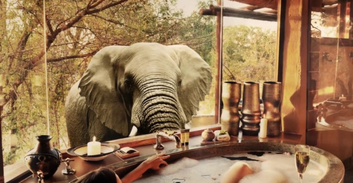 Lukimbi Safari Lodge, ЮАР