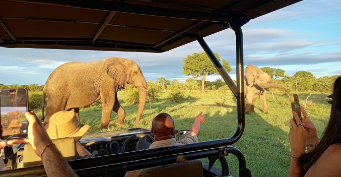 Большое путешествие по ЮАР