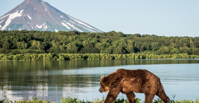 Камчатка, Россия