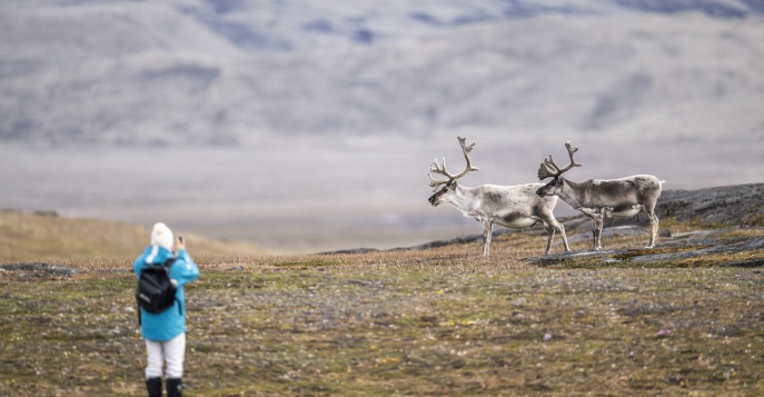 Чукотка, Россия