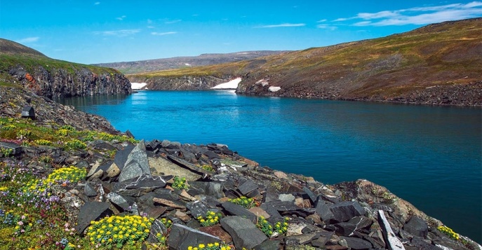 Остров Кусова Земля - Новая Земля, Россия