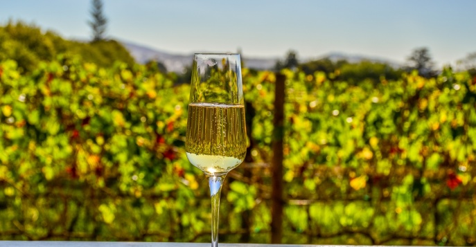 Вас ждут дегустации вин в винных поместьях ЮАР