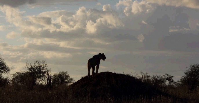 Кения, фото Олег Варанкин