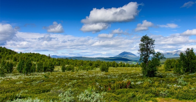 Дорога Пера Гюнта, Норвегия