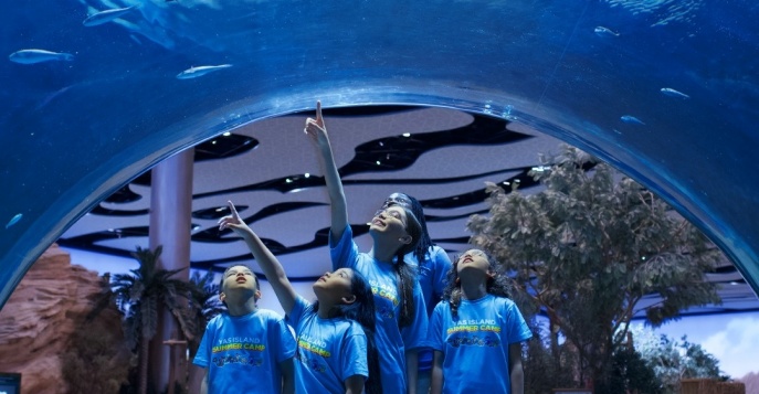 SeaWorld® Yas Island в Абу-Даби, ОАЭ