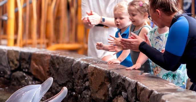 SeaWorld® Yas Island в Абу-Даби, ОАЭ