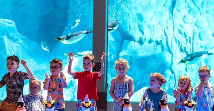 SeaWorld® Yas Island в Абу-Даби, ОАЭ