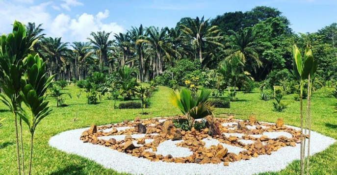 Ботанические сады «Jardin botanique de Bingerville»