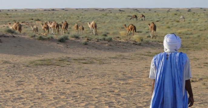 Отдых в Мавритании