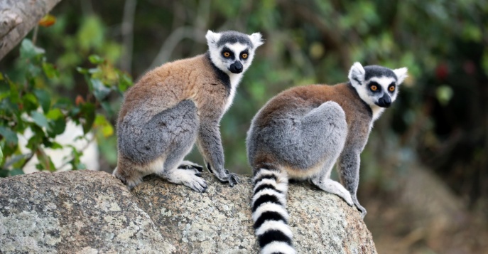 Национальный парк Анкарана, Мадагаскар