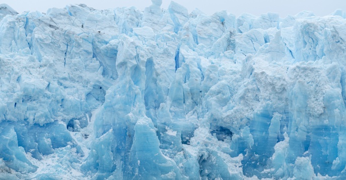 Экспедиционный круиз по ледникам и фьордам Чилийской Патагонии