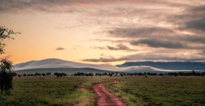 Заповедник дикой природы Таита-Хиллз, Кения	
