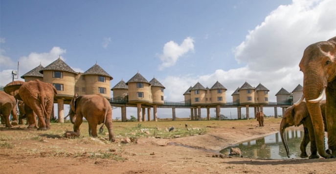 Проживание в Salt Lick Safari Lodge, известном как один из самых фотографируемых лоджей в мире