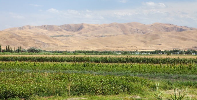 Ферганская долина, Узбекистан
