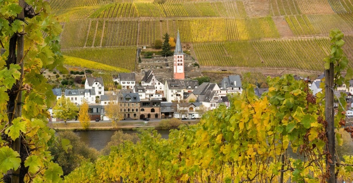 Виноградники в долине Мозель, Германия