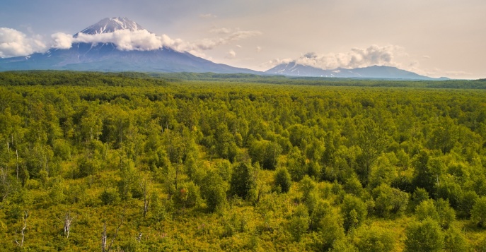 Авачинский вулкан - Камчатка, Россия