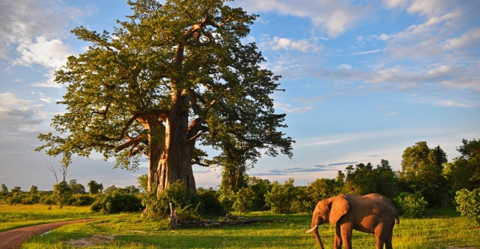 Национальный парк Южная Луангва, Замбия