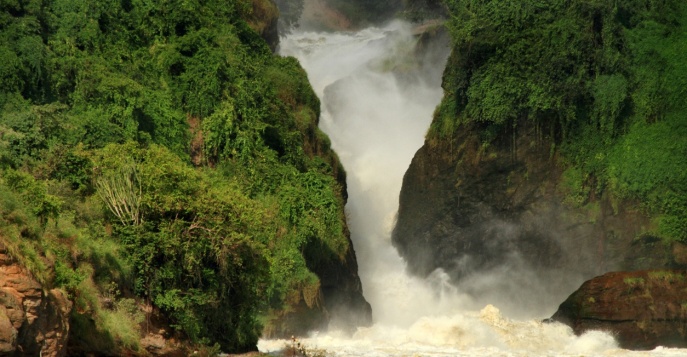 Парк Водопад Мерчисон, Уганда