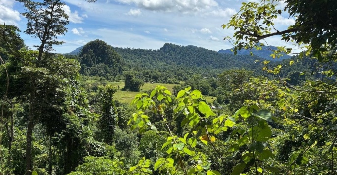 Палаван, Пуэрто-Принцесса Палаван, Пуэрто-Принцесса