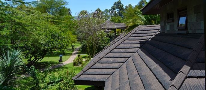 Лодж Lake Naivasha Simba Lodge, Кения	