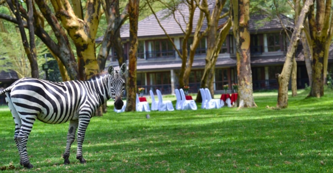 Лодж Lake Naivasha Simba Lodge