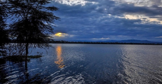 Лодж Lake Naivasha Country Club - озеро Найваша, Кения