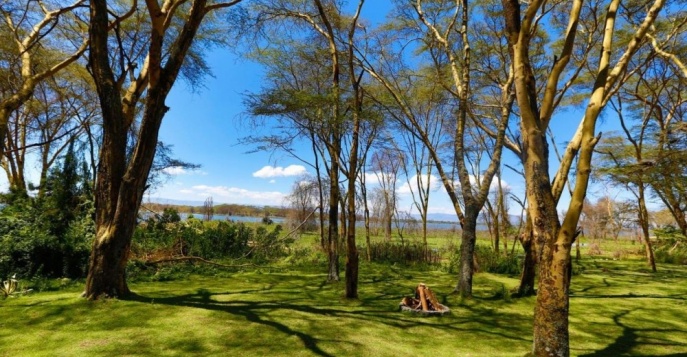 Лодж Lake Naivasha Country Club - озеро Найваша, Кения