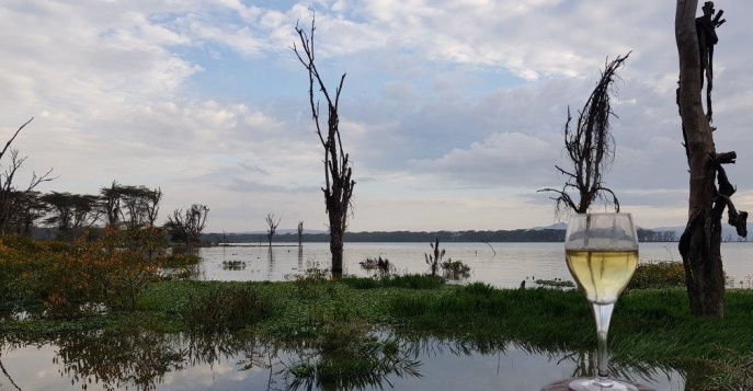 Кэмп Kiboko Luxury Camp - озеро Найваша, Кения	