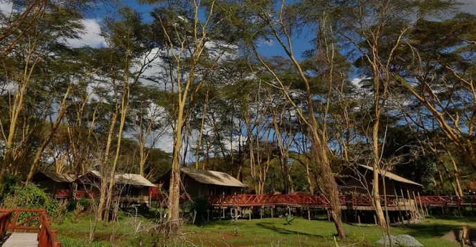 Кэмп Kiboko Luxury Camp