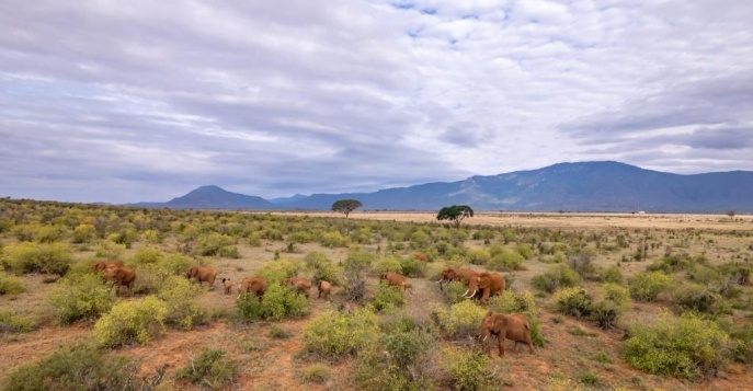 Лодж Sentrim Tsavo East Lodge - Парк Тсаво, Кения