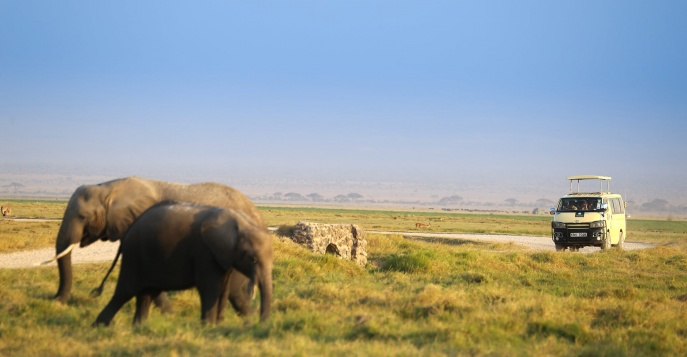 Кэмп Satao Elerai Camp - парк Амбослеи, Кения