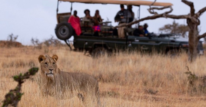 Лодж Lewa Wilderness Lodge - Лайкипия, Кения	