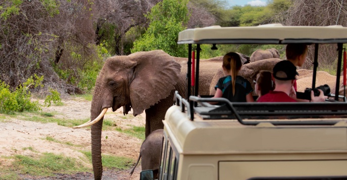 Национальный парк Серенгети, ТанзанияЭта программа хорошо подходит для семей: насыщенные сафари сменяются комфортным отдыхом, а каждый день наполнен новыми открытиями