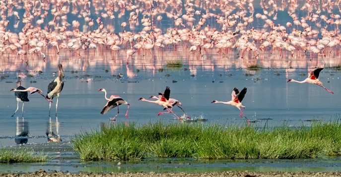 Заповедник Нгоронгоро - одно из самых живописных мест Африки