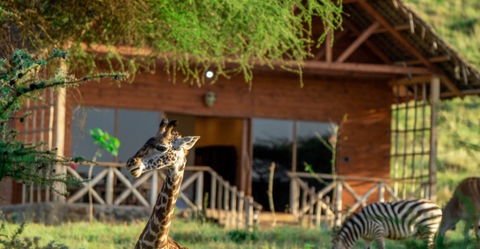 Лодж Serval Wildlife Lodge, Танзания