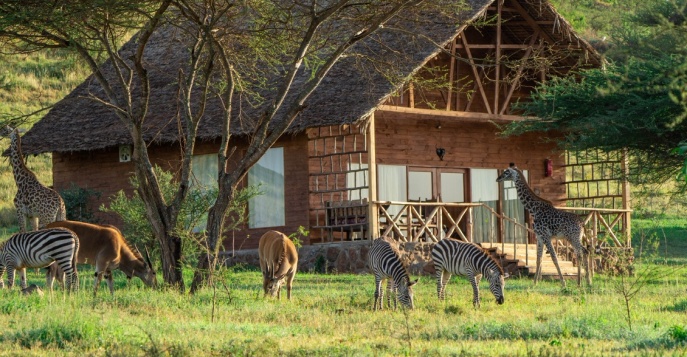 Лодж Serval Wildlife Lodge