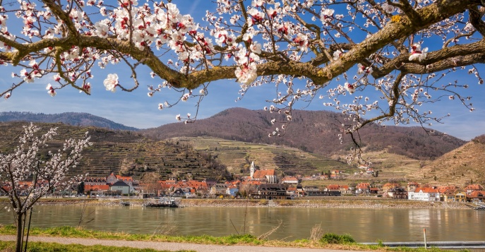 Весенний круиз вдоль долины Вахау, Австрия