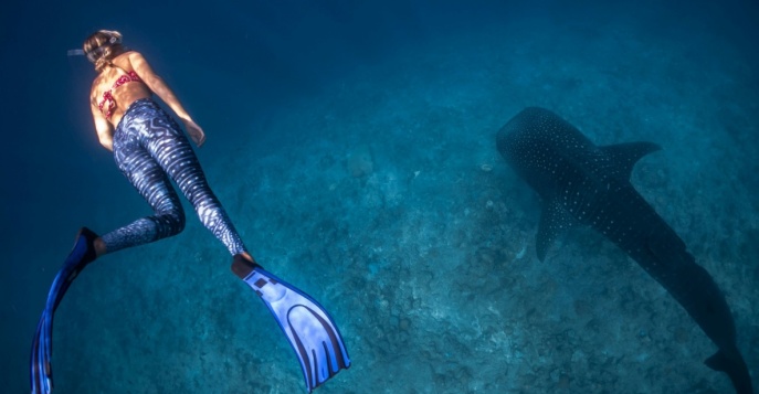 Круиз по Раджа Ампат и Филиппинам на майские праздники!