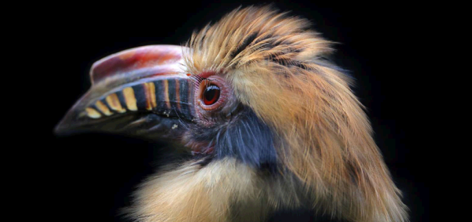 Раджа Ампат и Южные  Филиппины – последний рай на земле