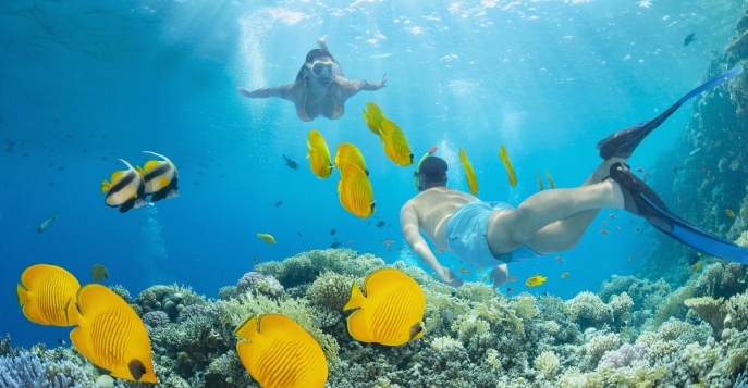 Снорклинг в заповеднике о. Пайяр - Лангкави, Малайзия
