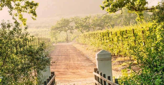 Отель Hotel Babylonstoren 5*, ЮАР	