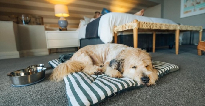 Отель The Bay Hotel 5*, ЮАР	