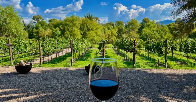 Вы продегустируете 5 сортов премиальных вин, дополненных пяти авторскими гастрономическими закусками от шеф-повара