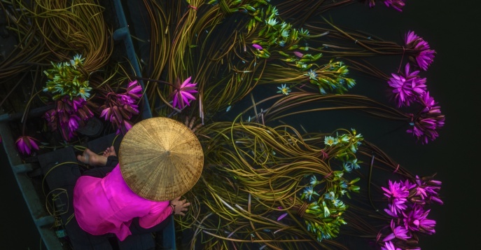 Дельта Меконга, Вьетнам