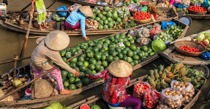 Экскурсия по дельте реки Меконг